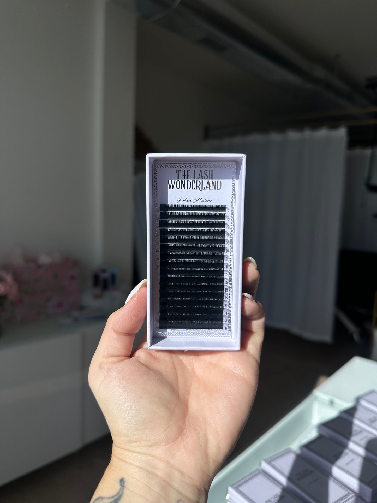 .03 C Cheshire Collection